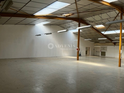 Advenis RES - Immobilier d'entreprises