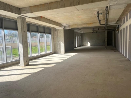 Advenis RES - Immobilier d'entreprises