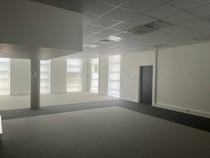 Advenis RES - Immobilier d'entreprises