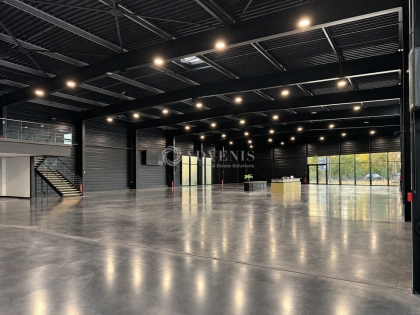 Advenis RES - Immobilier d'entreprises