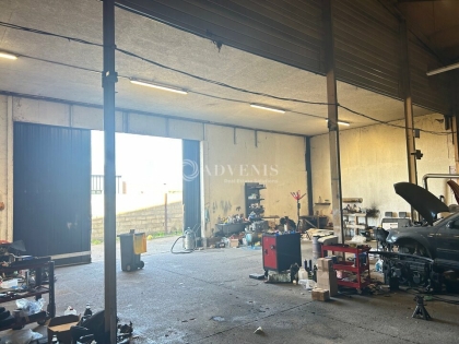 Advenis RES - Immobilier d'entreprises