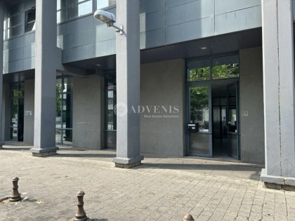 Advenis RES - Immobilier d'entreprises