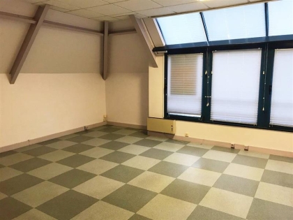 Advenis RES - Immobilier d'entreprises