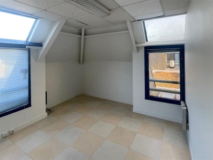 Advenis RES - Immobilier d'entreprises