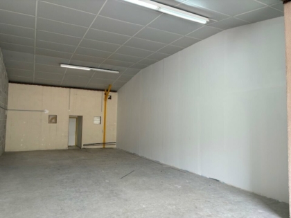 Advenis RES - Immobilier d'entreprises