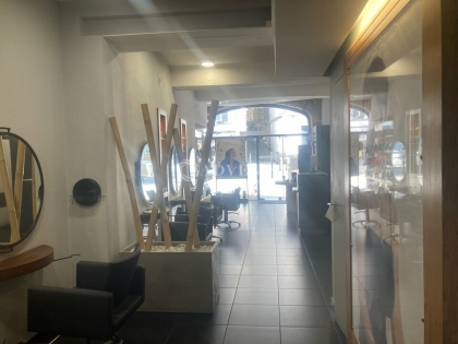 Advenis RES - Immobilier d'entreprises