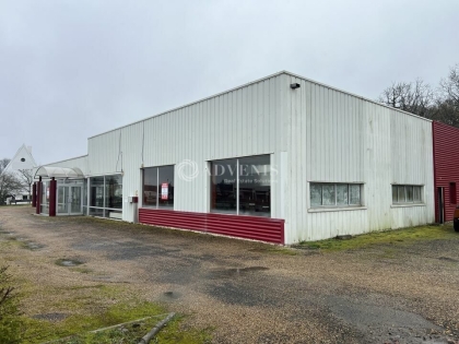 Advenis RES - Immobilier d'entreprises