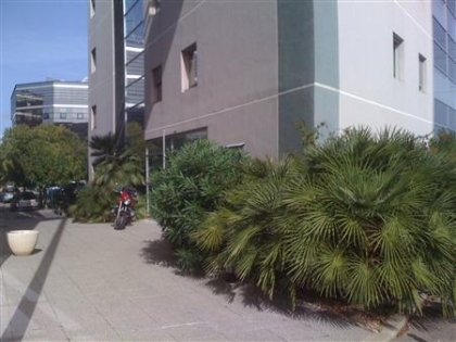 Location Bureaux MONTPELLIER - Photo 1