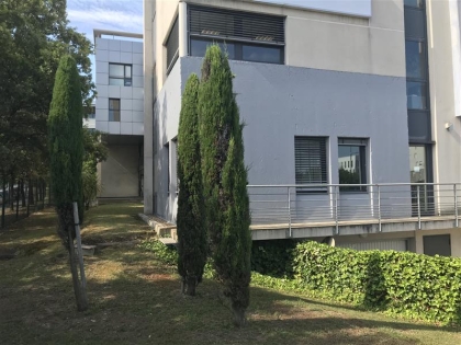 Location Bureaux MONTPELLIER - Photo 3