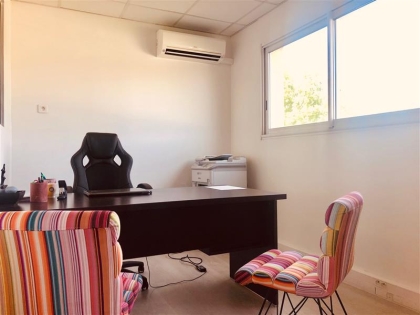 Advenis RES - Immobilier d'entreprises