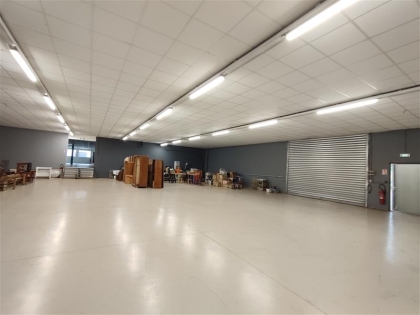Advenis RES - Immobilier d'entreprises