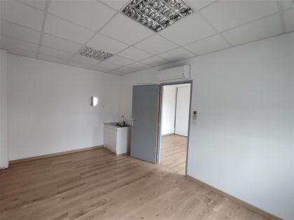 Advenis RES - Immobilier d'entreprises
