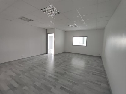 Advenis RES - Immobilier d'entreprises