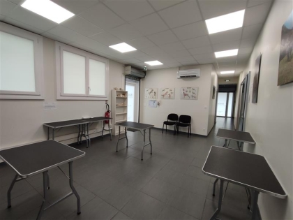 Advenis RES - Immobilier d'entreprises