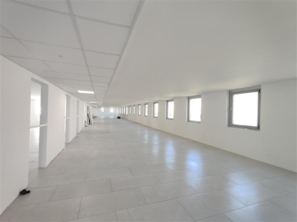 Advenis RES - Immobilier d'entreprises