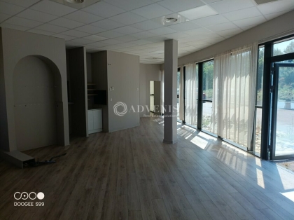 Advenis RES - Immobilier d'entreprises