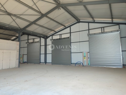 Advenis RES - Immobilier d'entreprises