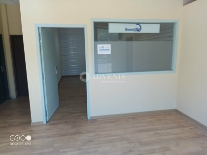 Advenis RES - Immobilier d'entreprises