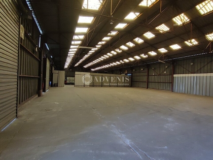 Advenis RES - Immobilier d'entreprises