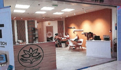 Advenis RES - Immobilier d'entreprises