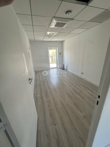 Advenis RES - Immobilier d'entreprises