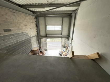 Advenis RES - Immobilier d'entreprises