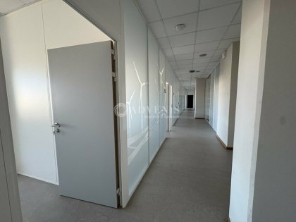 Advenis RES - Immobilier d'entreprises