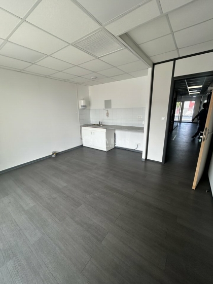 Advenis RES - Immobilier d'entreprises