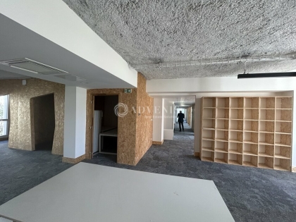 Advenis RES - Immobilier d'entreprises