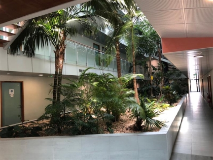 Location Bureaux MONTPELLIER - Photo 2