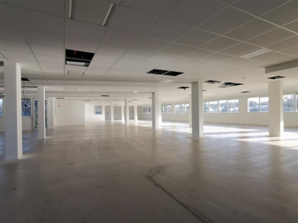 Advenis RES - Immobilier d'entreprises