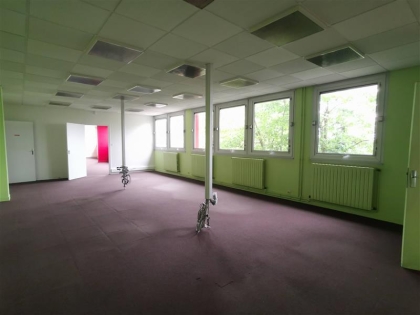 Location Bureaux SAINT MALO - Photo 1