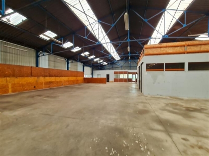 Advenis RES - Immobilier d'entreprises