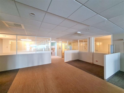 Advenis RES - Immobilier d'entreprises