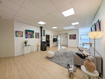 Advenis RES - Immobilier d'entreprises