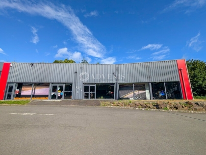 Advenis RES - Immobilier d'entreprises