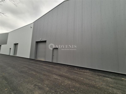 Advenis RES - Immobilier d'entreprises
