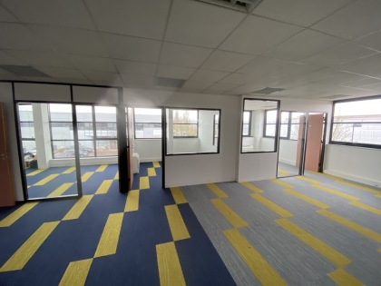 Advenis RES - Immobilier d'entreprises