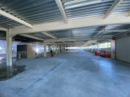 Advenis RES - Immobilier d'entreprises