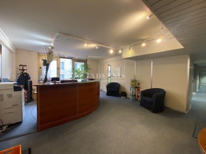 Advenis RES - Immobilier d'entreprises