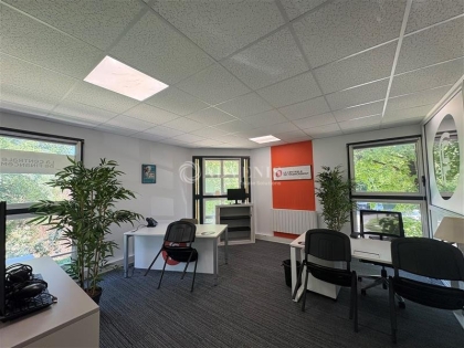 Advenis RES - Immobilier d'entreprises