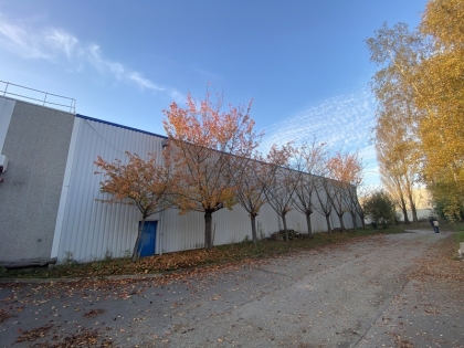 Advenis RES - Immobilier d'entreprises