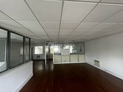 Advenis RES - Immobilier d'entreprises