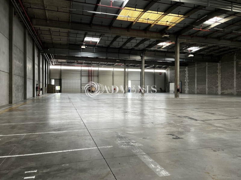 Location Entrepôts STRASBOURG (67000) - Photo 10