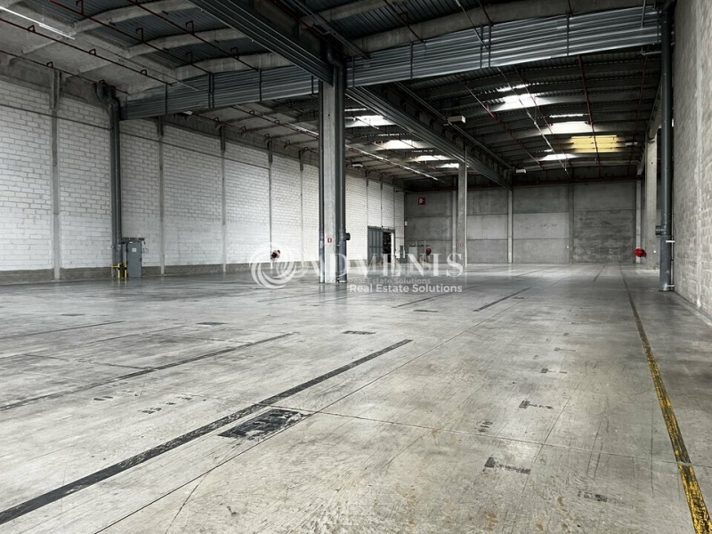 Location Entrepôts STRASBOURG (67000) - Photo 8
