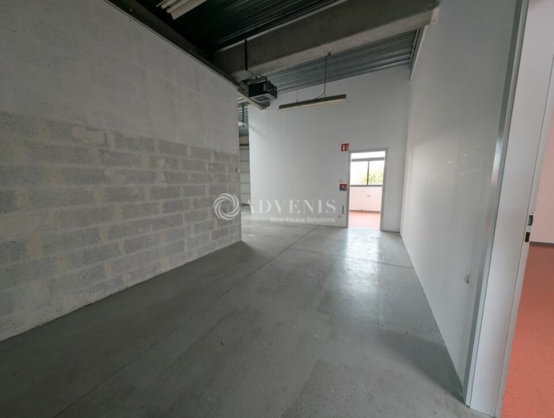 Location Bureaux et activités légères ECKBOLSHEIM (67201) - Photo 8