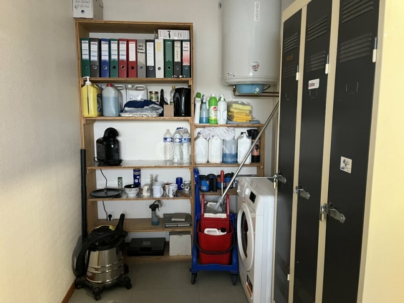 Location Activités Entrepôts REICHSTETT (67116) - Photo 9