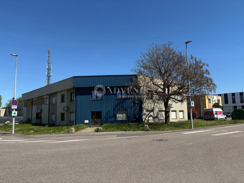 Location Activités Entrepôts ECKBOLSHEIM (67201) - Photo 5