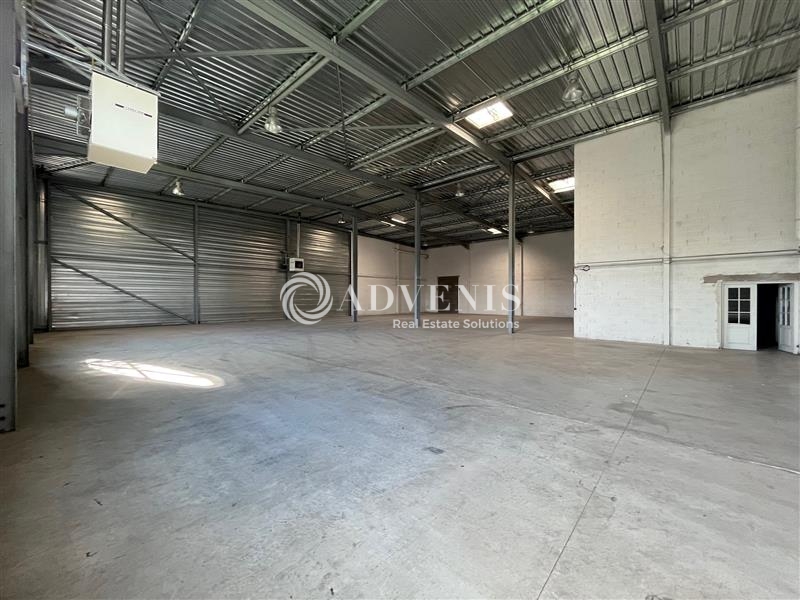 Location Activités Entrepôts MUNDOLSHEIM (67450) - Photo 2