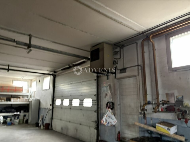 Location Activités Entrepôts ILLKIRCH GRAFFENSTADEN (67400) - Photo 10